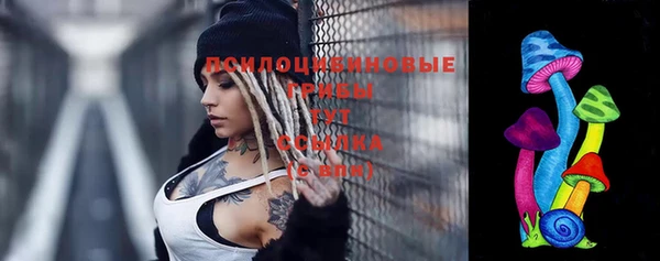 стафф Аркадак