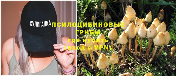 спайс Армянск