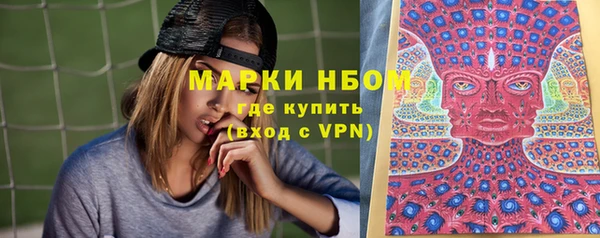 стафф Аркадак