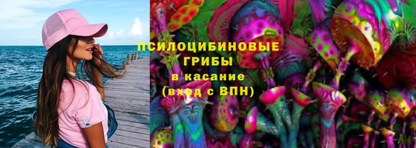 стафф Аркадак